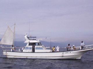 �T���ۂ���