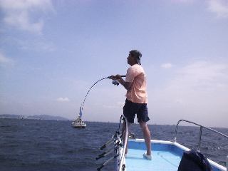 �~���V�̂��Z����