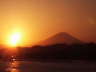 �x�m�R�Ɨ[�z