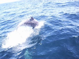 �摜���N���b�N�I