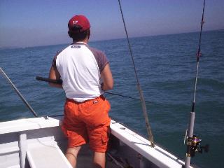 �f�����O�c����