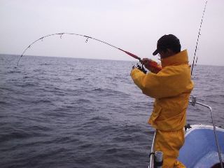 �t�@�C�g��