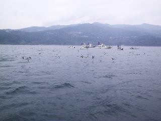 ���K�͑D�c