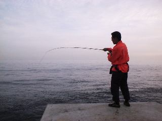 �����������i�΁j