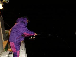 �o�����c�t�@�C�g��