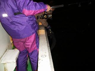 �����f�B���O