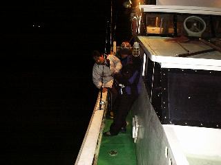 �o�D�O����