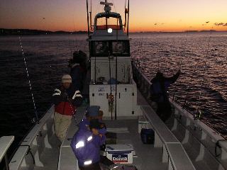 ���Ă��̒���