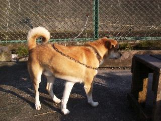 �`�c��t�B�b�V���X�g�[���[�g�o��