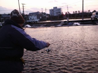 �t�@�C�g��