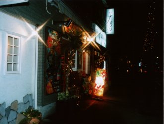 �{�q�̂������Ȃ��X