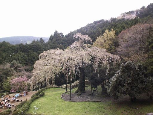 �V�R�L�O��