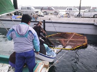 �����C���V�̏���