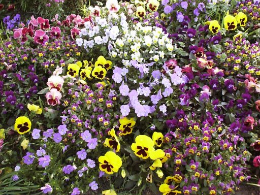 �C���C��