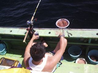 �N�������