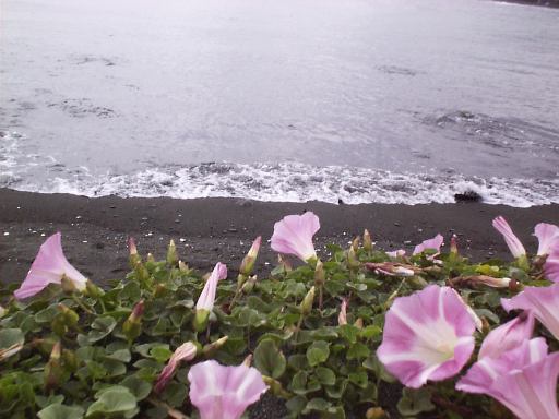 �n�}�q���K�I�P