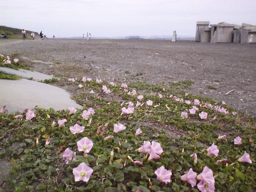 �n�}�q���K�I�Q