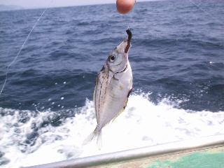 �����ׂ��O������