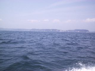 ���q�E���q