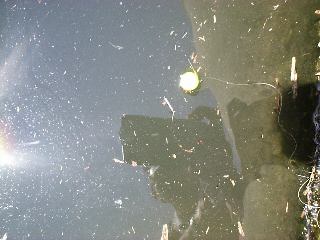 �E�L�̃A�^���҂�