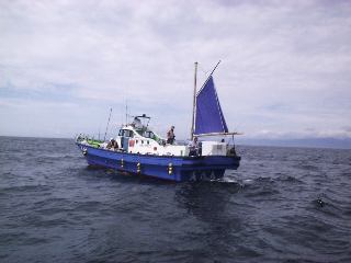 �z�C�ȊO���l