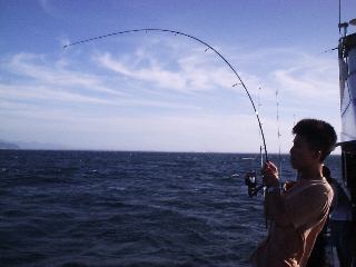 �V�C���q�b�g�I