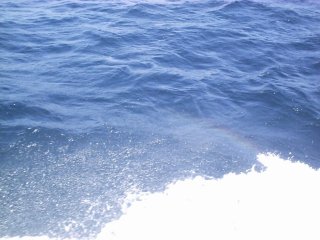 ���E�G��ۂ���