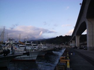 �����̑���`