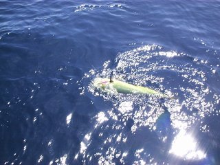 �オ���Ă����V�C��