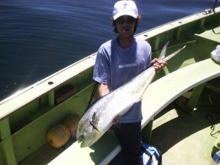 �V�C���i���X�j�ł��B