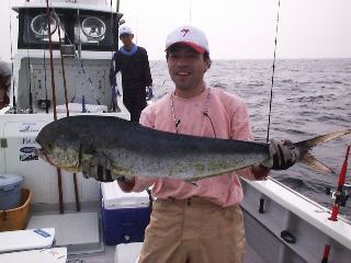 �V�C���ł��B