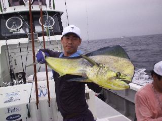 �ǂ������`