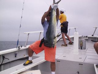 ���ł������܂��B