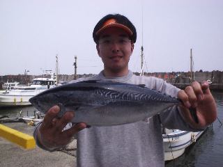 �����ł���H