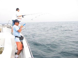 �t�@�C�g���̎����