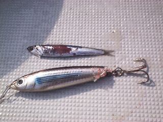 �x�C�g�����A�[