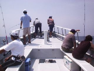 �g�����}�T��