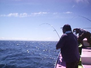 �t�@�C�g��