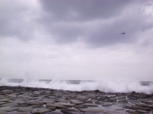 �����C��