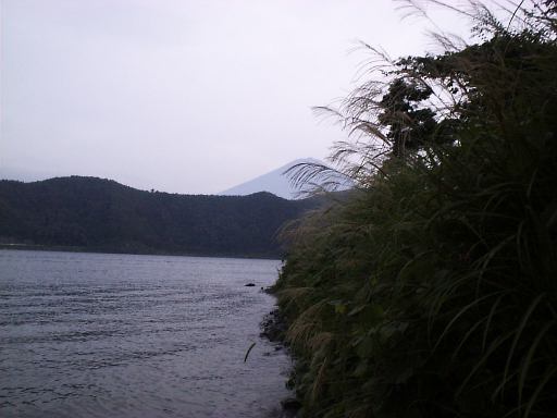 �X�X�L�ƕx�m�R