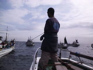 �C�i�_�D�c��