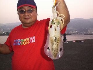 �A�I���C�J�P