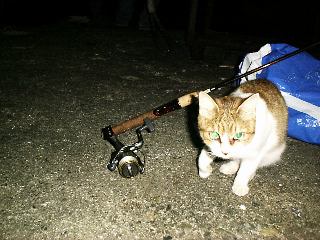 �`�l�R�����