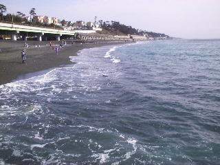 �~���h����