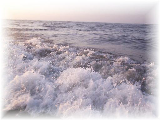 �T���h�o�[