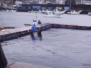 ���肷��C���J�N