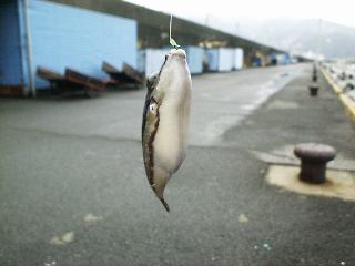 �L�^�}�N���H�H