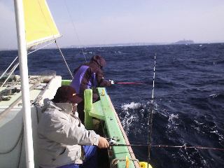 �]�m�����o�b�N��