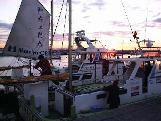 �掵���E�G���