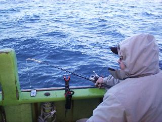 ���炽����